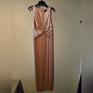 Adrianna Papell Sleeveless Velvet Pink Champagne Long Dress